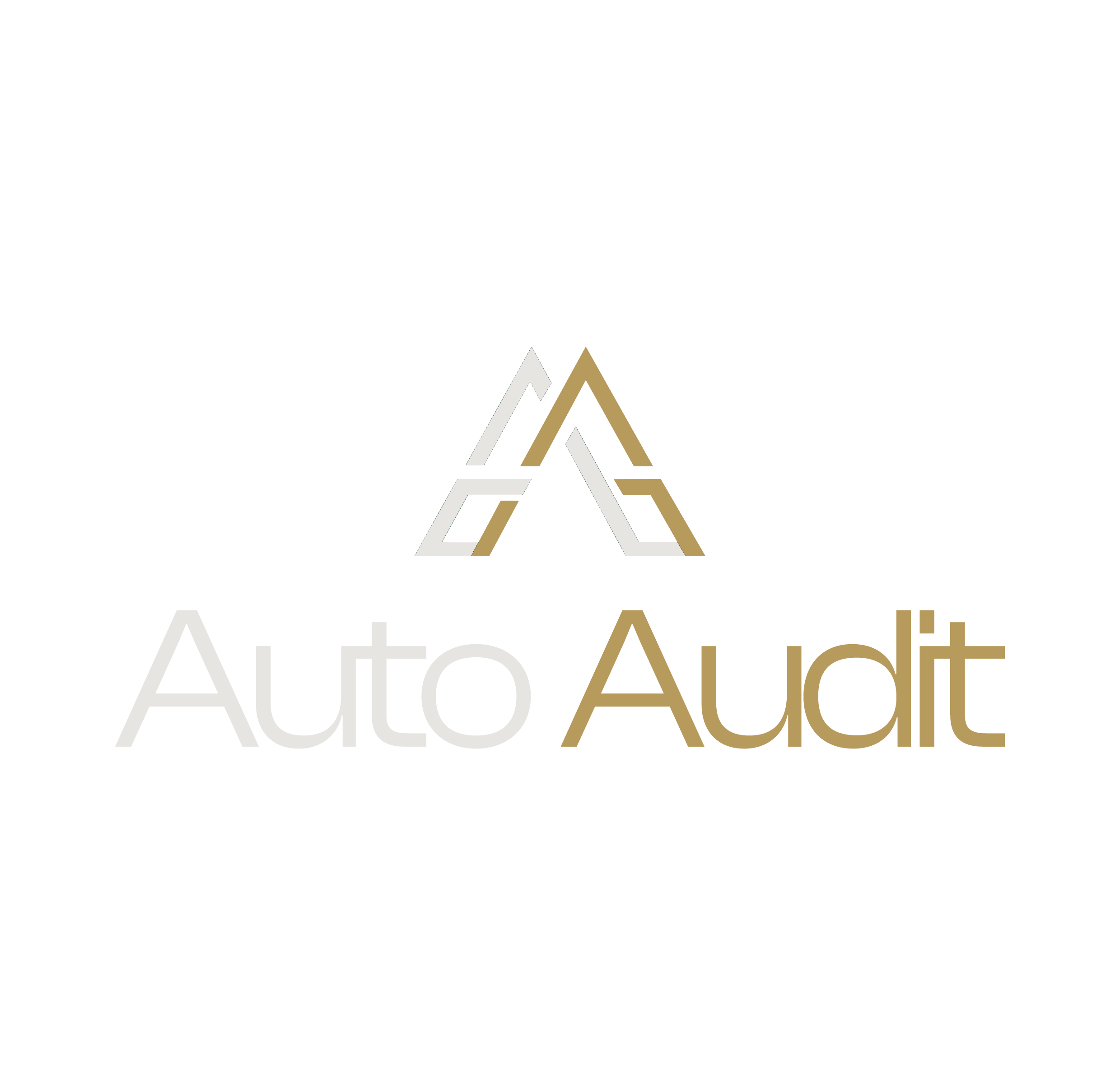 Auto Audit Group